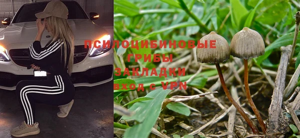 дурь Армянск