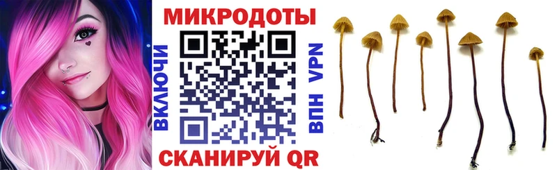 Псилоцибиновые грибы Magic Shrooms  купить наркотик  Кукмор 